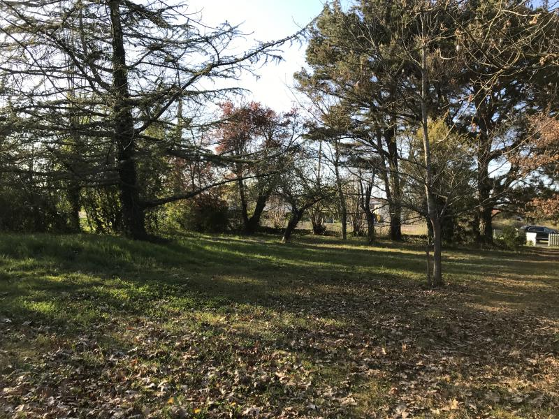 Offres de vente Terrain Saint-Gaudens 31800