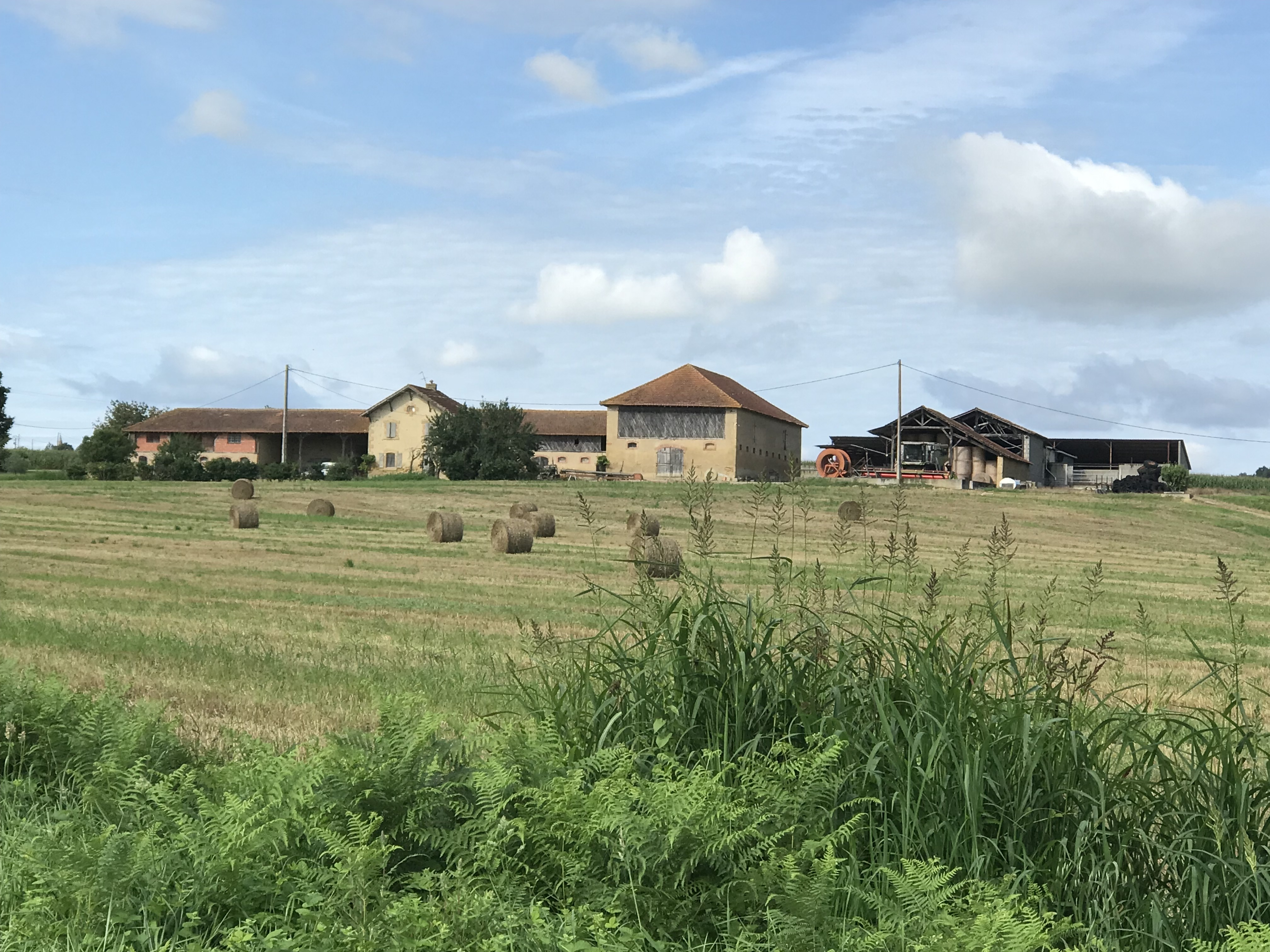 Offres de vente Maison L'Isle-en-Dodon 31230